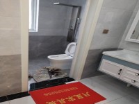 其它图